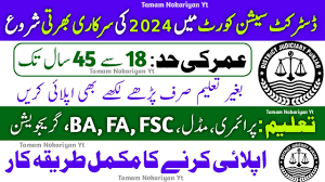 Latest District and Session Courts Karachi Jobs 2024